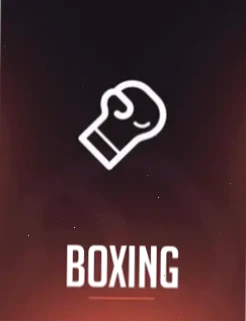 rb-boxing